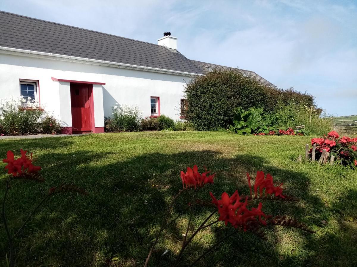 B&B The Red Door Cottage Donegal Town Exterior foto